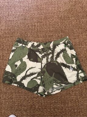 Nike ACG Shorts Casual Athletic Reservoir Goat Cactus Men's Size XL HV0595-229
